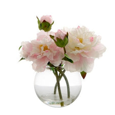 Penny Peony In Water Bowl
