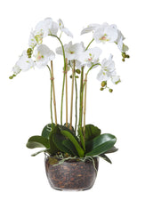Large Faux Orchid