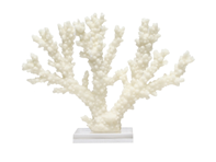 Coral Sculpture 07