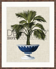 Ornate Palm I