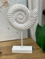 Sevenseas Conch Wood Shell On Stand