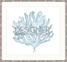 Designer Boys - Pale Blue Coral III
