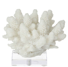 Coral Sculpture 04